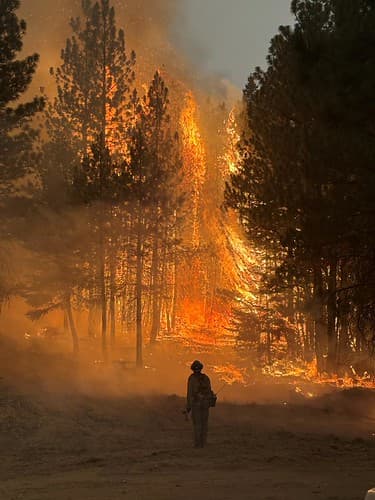A wildland firefighter works beside a line of flames.